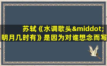 苏轼《水调歌头·明月几时有》是因为对谁想念而写的?