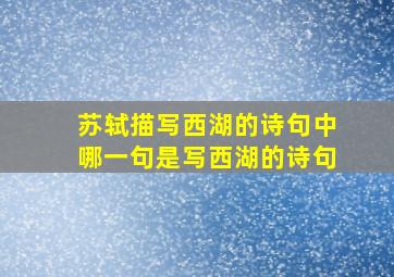 苏轼描写西湖的诗句中哪一句是写西湖的诗句