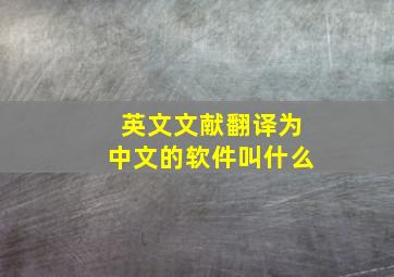 英文文献翻译为中文的软件叫什么