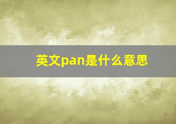 英文pan是什么意思