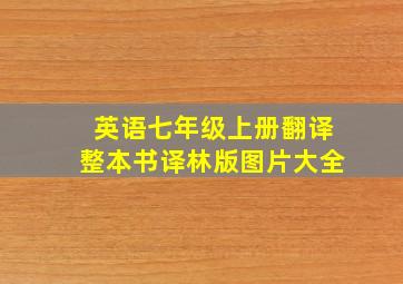 英语七年级上册翻译整本书译林版图片大全