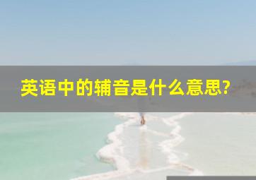 英语中的辅音是什么意思?