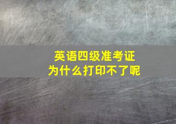 英语四级准考证为什么打印不了呢