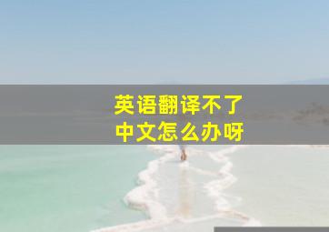 英语翻译不了中文怎么办呀