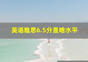 英语雅思6.5分是啥水平