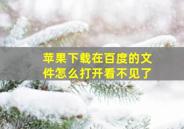 苹果下载在百度的文件怎么打开看不见了