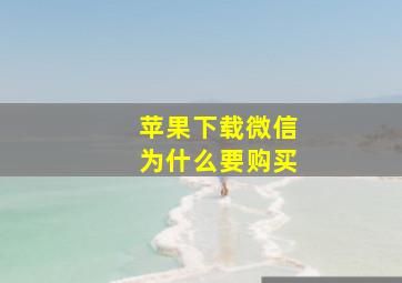 苹果下载微信为什么要购买