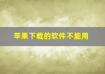 苹果下载的软件不能用