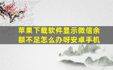 苹果下载软件显示微信余额不足怎么办呀安卓手机