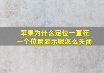 苹果为什么定位一直在一个位置显示呢怎么关闭