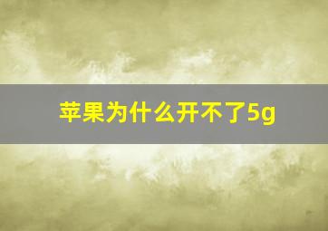 苹果为什么开不了5g