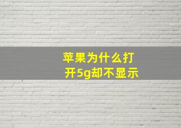 苹果为什么打开5g却不显示