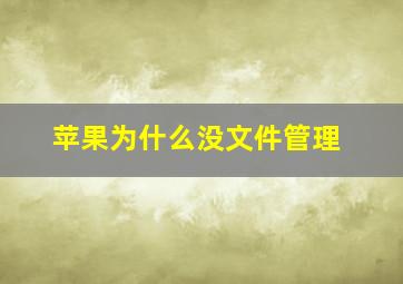 苹果为什么没文件管理