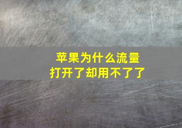 苹果为什么流量打开了却用不了了