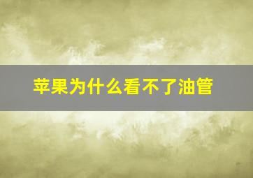 苹果为什么看不了油管