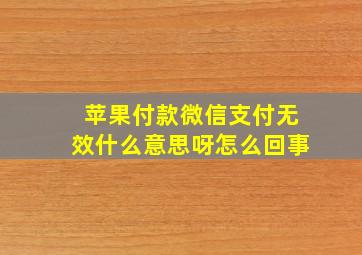 苹果付款微信支付无效什么意思呀怎么回事