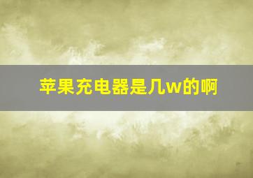 苹果充电器是几w的啊