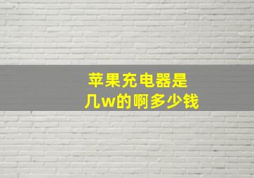 苹果充电器是几w的啊多少钱