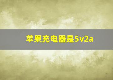 苹果充电器是5v2a