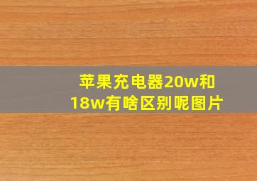 苹果充电器20w和18w有啥区别呢图片