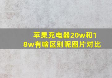 苹果充电器20w和18w有啥区别呢图片对比