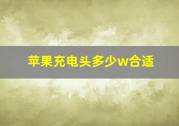 苹果充电头多少w合适