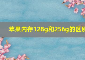 苹果内存128g和256g的区别