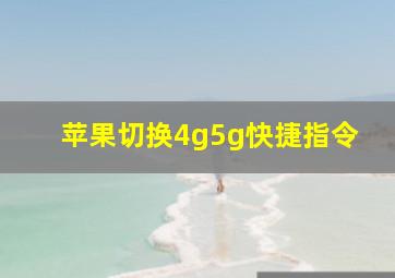 苹果切换4g5g快捷指令