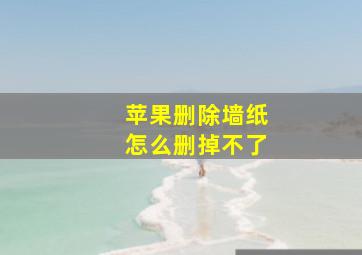 苹果删除墙纸怎么删掉不了