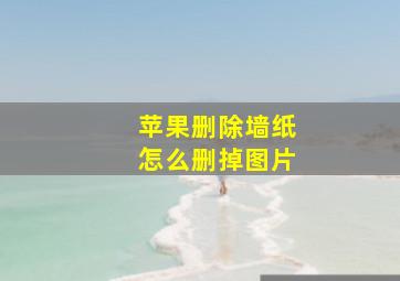 苹果删除墙纸怎么删掉图片