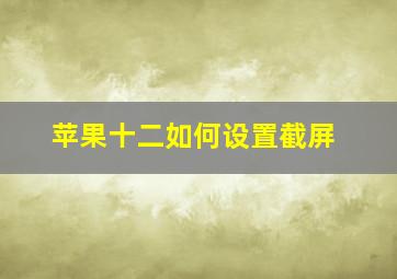 苹果十二如何设置截屏