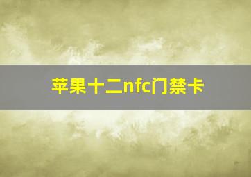 苹果十二nfc门禁卡