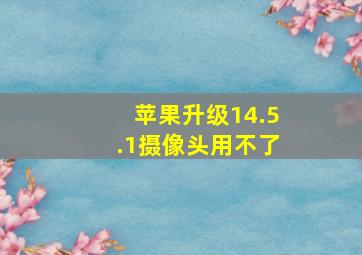 苹果升级14.5.1摄像头用不了