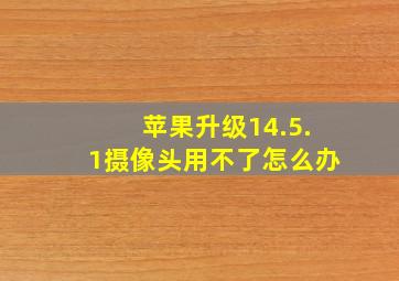 苹果升级14.5.1摄像头用不了怎么办