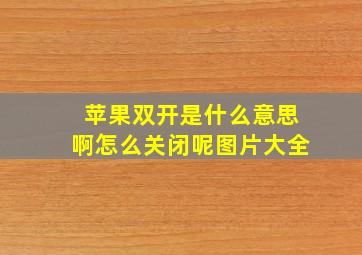 苹果双开是什么意思啊怎么关闭呢图片大全