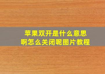 苹果双开是什么意思啊怎么关闭呢图片教程