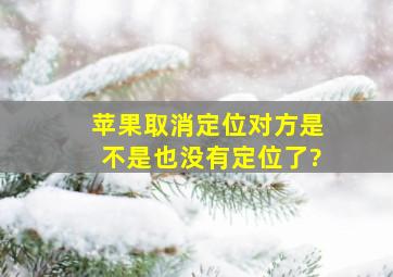 苹果取消定位对方是不是也没有定位了?