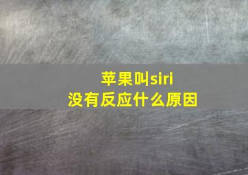 苹果叫siri没有反应什么原因