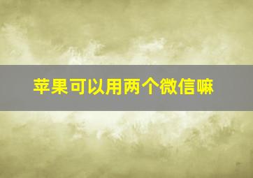 苹果可以用两个微信嘛