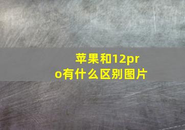 苹果和12pro有什么区别图片