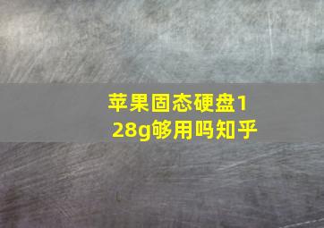 苹果固态硬盘128g够用吗知乎