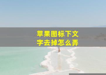 苹果图标下文字去掉怎么弄