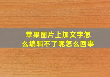 苹果图片上加文字怎么编辑不了呢怎么回事