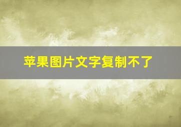 苹果图片文字复制不了