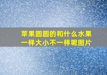 苹果圆圆的和什么水果一样大小不一样呢图片