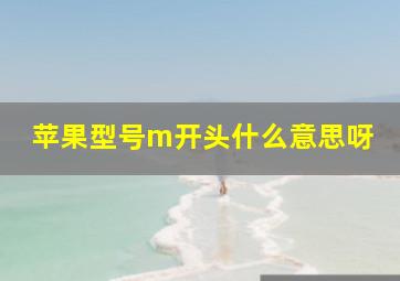 苹果型号m开头什么意思呀