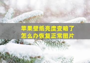 苹果壁纸亮度变暗了怎么办恢复正常图片