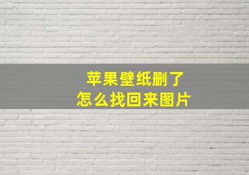 苹果壁纸删了怎么找回来图片