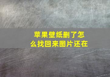 苹果壁纸删了怎么找回来图片还在