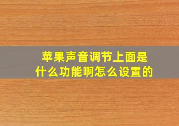 苹果声音调节上面是什么功能啊怎么设置的